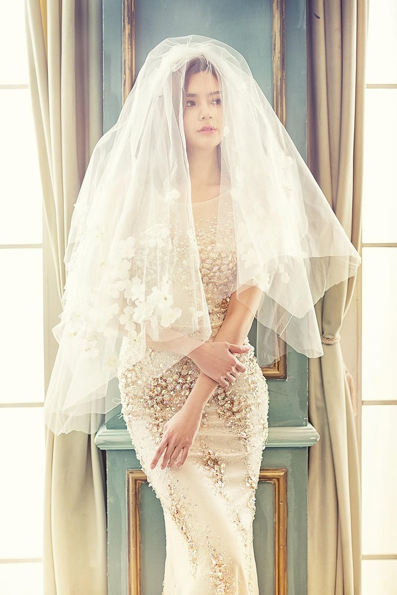 Luxurious Veils